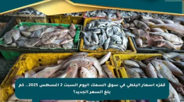 قفزة أسعار البلطي في سوق السمك اليوم السبت 2 أغسطس 2025.. كم بلغ السعر الجديد؟